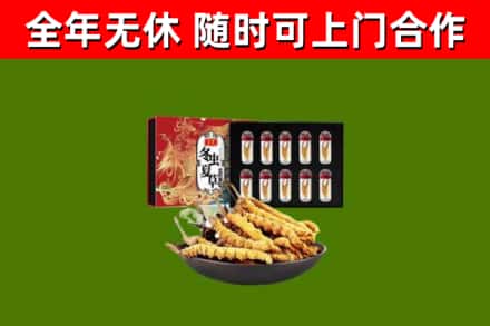 内乡县回收冬虫夏草价格